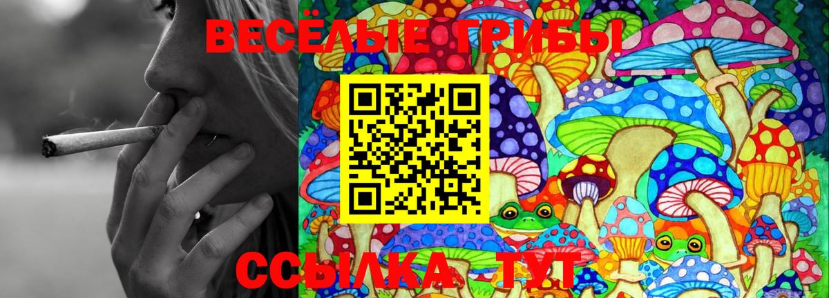 Тайшет  Псилоцибиновые грибы прущие грибы  закладки  Галлюциногенные грибы прущие грибы  Вход с VPN 